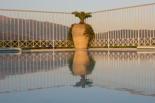 a reflection of a plant in the water next to a fence at Verdeluna ApartHotel in Marina di Pietrasanta