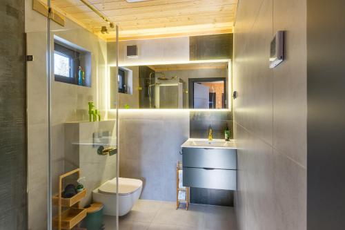 a bathroom with a toilet and a sink and a shower at Hytte pod Karpaczem in Miłków