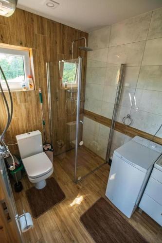 a bathroom with a shower and a toilet in it at Domki u Niedźwiadka in Wola Sękowa