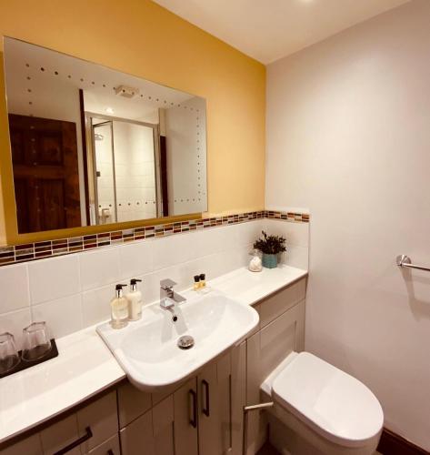 a bathroom with a sink and a toilet and a mirror at 3 Cambridge Villas in Ambleside