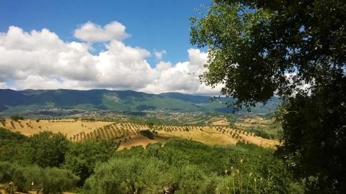 Gallery image of B&B Le Vedute in Rende
