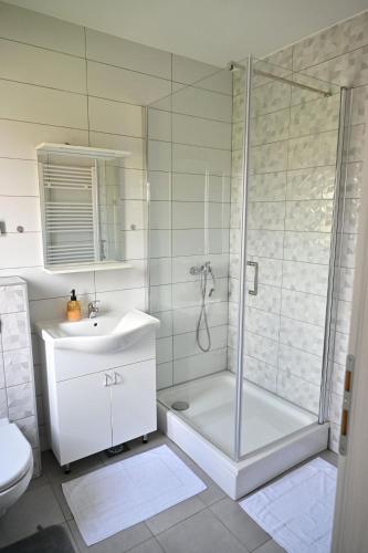 a bathroom with a shower and a toilet and a sink at Sobe i apartmani MILLA in Slavonski Brod