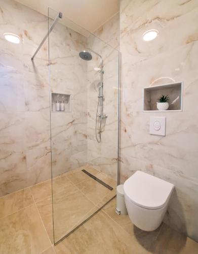 a bathroom with a toilet and a glass shower at Villa TeSa in Sevid