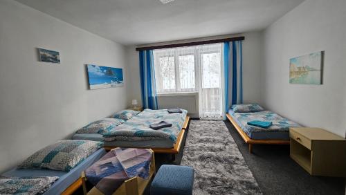 a room with two beds and a window at Penzion Tomy1 in Horní Planá