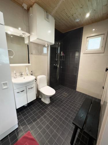 a bathroom with a toilet and a sink and a shower at Lumilyhty B in Äkäslompolo