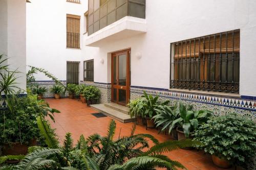 CENTRICO Y ACOGEDOR APARTAMENTO CORDOBA