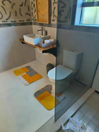 a bathroom with a toilet and a sink at the Host at Bingos House Self Catering in Thohoyandou