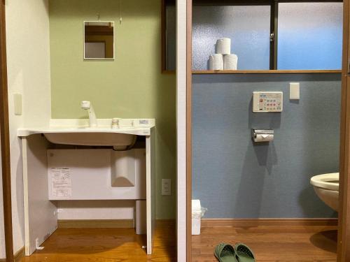 a bathroom with a sink and a toilet at ジャンハウス in Takayama