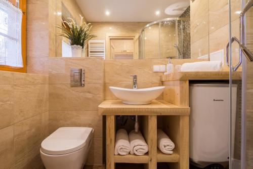 a bathroom with a sink and a toilet at Dom Tatra Apartamenty Zakopane in Zakopane