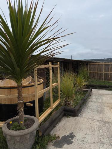 a palm tree in a pot next to a fence at Casa al mare due - Matanzas y Pupuya in Navidad