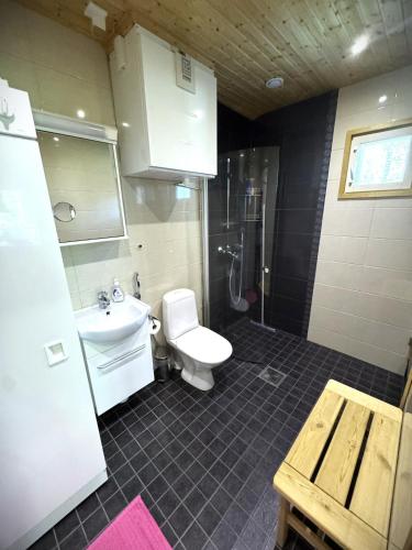 a bathroom with a white toilet and a sink at Lumilyhty A in Äkäslompolo