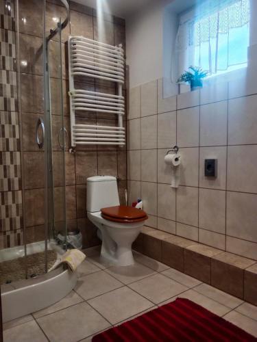 a bathroom with a toilet with a shower and a tub at ZŁOTY BUK in Jagniątków