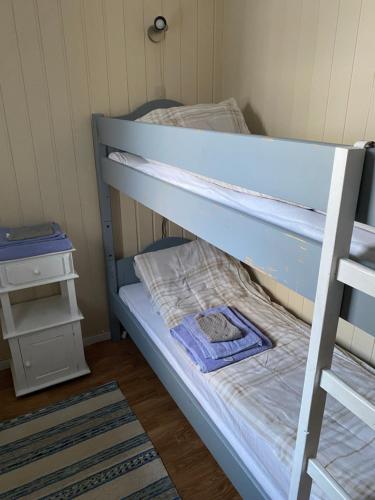 ein kleines Schlafzimmer mit einem Etagenbett und einer Leiter in der Unterkunft Birthebu in Kjerrvika