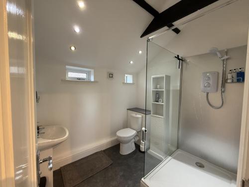 a bathroom with a shower and a toilet and a sink at Crossways Beech Tree in Grimsby