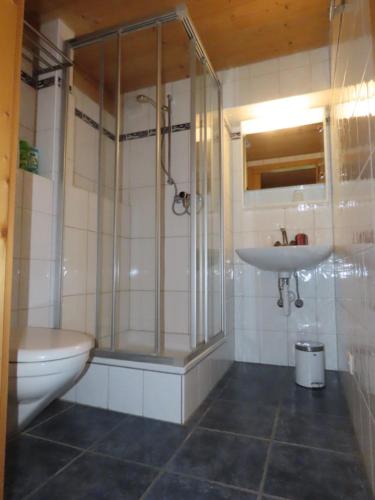 a bathroom with a shower and a sink and a toilet at Holzhaus bei Interlaken in Goldswil