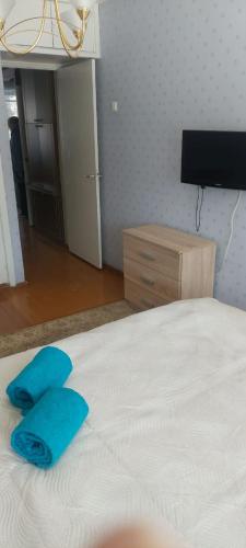 ein Schlafzimmer mit einem Bett mit blauen Kissen in der Unterkunft Flat 2 rooms in Panevėžys