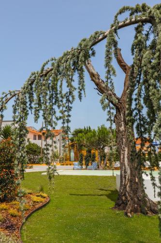 a tree in a park with a green lawn at Almaa da Ria in Ílhavo