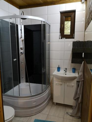 a bathroom with a shower and a sink at Domek letniskowy Marksewo Łoś in Marksoby