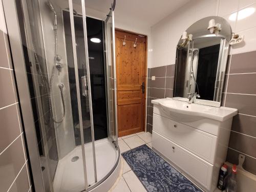 a bathroom with a shower and a toilet and a sink at Gîte Le Four à Pain, 2 chambres, 2km du centre de Dole, in Dole