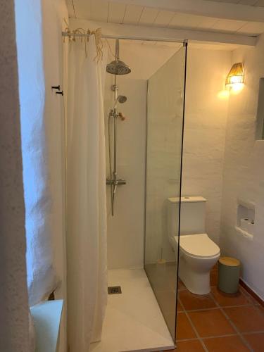 a bathroom with a glass shower with a toilet at Pisco Charming House - Alter Pedroso in Alter do Chão
