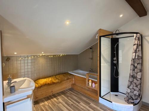 a bathroom with a shower and a sink and a tub at La Maison cachée du PAVILLON BELLEVUE in Belley