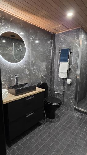 a bathroom with a sink and a toilet and a shower at Studio Siivilla in Uusikaupunki