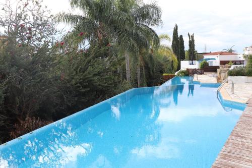 a large blue swimming pool with trees and palm trees at Kastalia Springs 3bd VIilla in Peiya by VICHY Holidays in Paphos