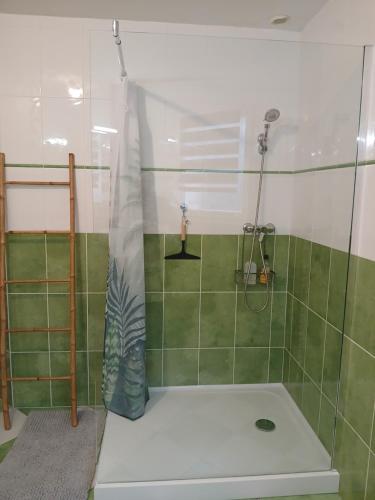 une salle de bains avec douche carrelée de vert dans l'établissement Chambre indépendante, à Bonnac-la-Côte
