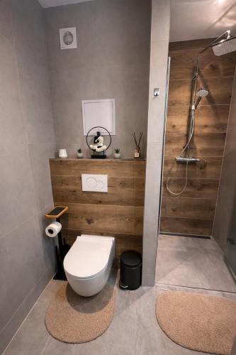 a bathroom with a toilet and a shower at Hagy Apartments in Vysoké Tatry