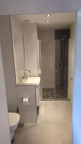 a bathroom with a toilet and a sink and a shower at Lohbachhof in Wolfhagen