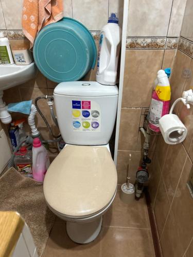 a small bathroom with a toilet and a sink at Очень Уютная, Тихая, Эко Комната С Видом На Сад in Vinnytsya