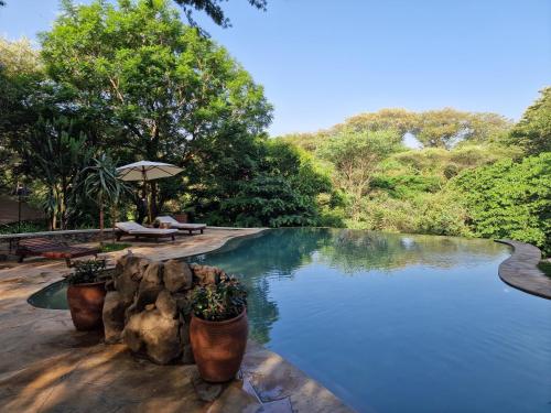 a swimming pool with an umbrella and some trees at Dolly Farm & River Camp, Luxury Tents in Usa River