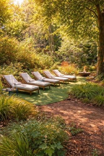 a row of chaise lounges in a park at Architectural Woodland Spa Estate - 2 Hot Tubs in Clapton in Gordano
