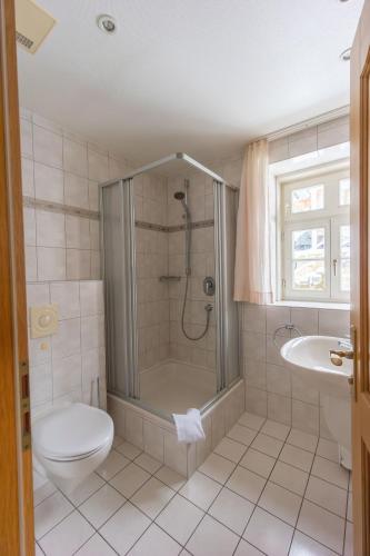 a bathroom with a shower and a toilet and a sink at Landhotel Der Buchenhof Bad Essen in Bad Essen