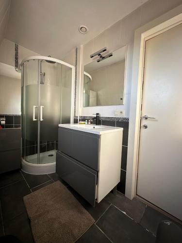 a bathroom with a shower and a sink at The2 Work or holiday apartment in Godshuis