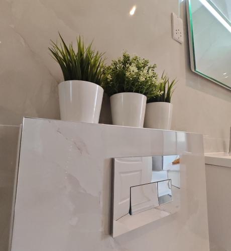 three potted plants sitting on top of a counter at The Windsor Courtyard in Windsor