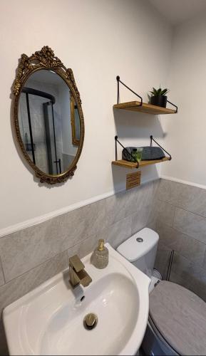 a bathroom with a sink and a mirror and a toilet at The Annex in York in York