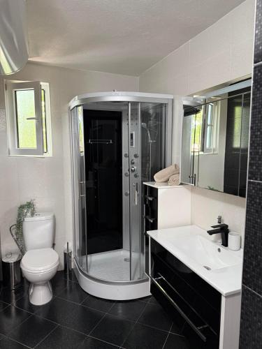 a bathroom with a shower and a toilet and a sink at The Walnut Nest in Sapareva Banya