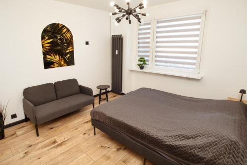 a bedroom with a bed and a couch and a window at Kolbi Signature Platinum Residence in Białogard