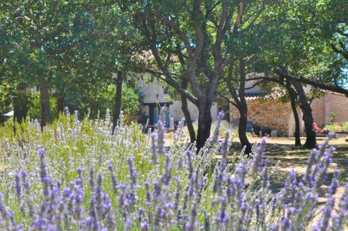 Photo de la galerie de l'établissement Les Gîtes De La Chérine, à Quinson