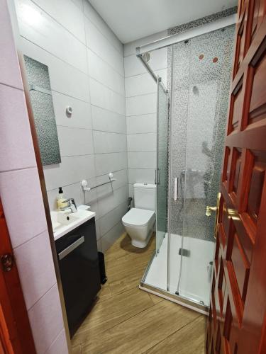 a bathroom with a shower and a toilet and a sink at Casa del Drago in Vega de San Mateo