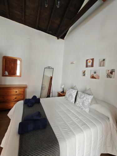 a bedroom with a large white bed and a mirror at Casa del Drago in Vega de San Mateo