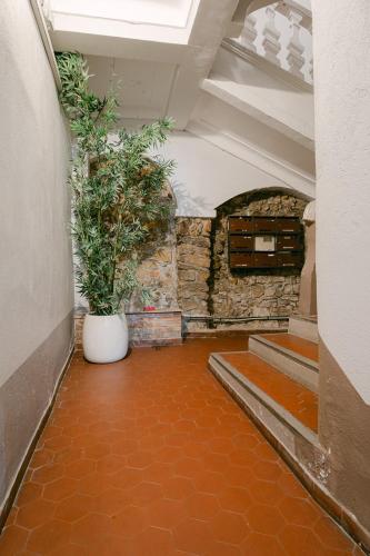 L'Anita - Rue Meynadier - Hyper Centre