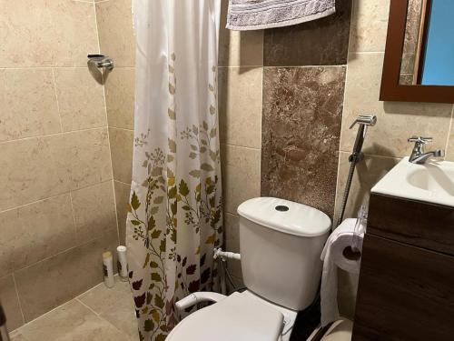 a bathroom with a toilet and a shower and a sink at Cabane Finca la Gloria in San Vicente de Chucurí