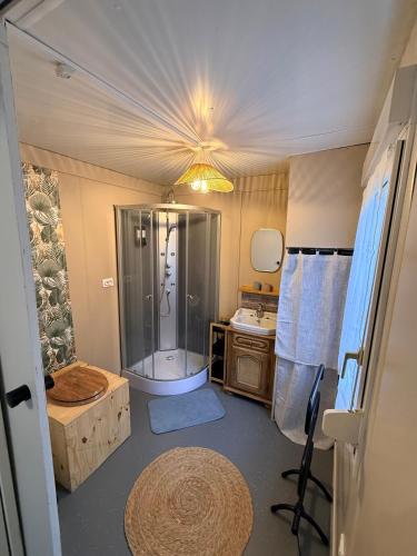 łazienka z prysznicem, toaletą i umywalką w obiekcie Le Petit Lodge w mieście Coulouvray-Boisbenâtre