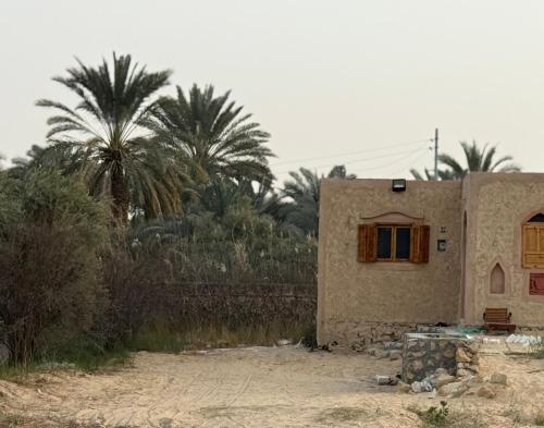 a small house in the desert with palm trees at Bandres farm in Siwa
