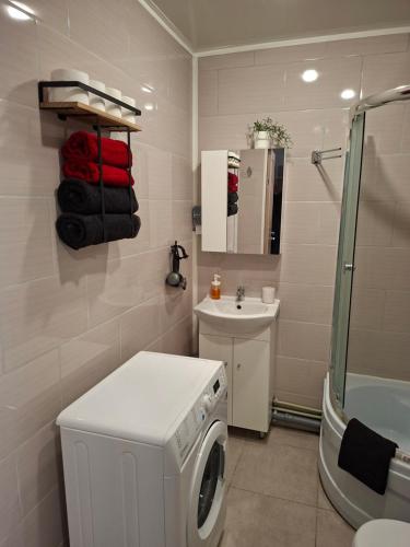 a bathroom with a washing machine and a sink at Jelena Apartment 69 in Rēzekne