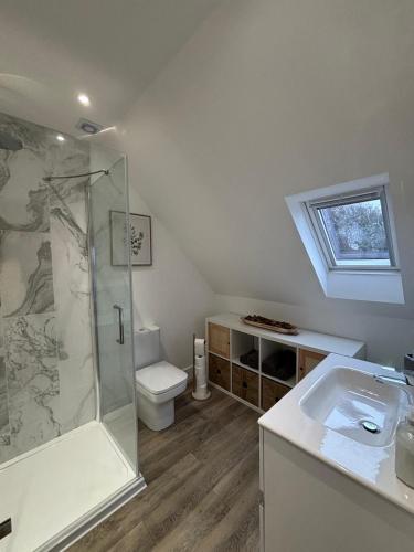 a bathroom with a shower and a toilet and a sink at Tollgate Annexe in Ashford