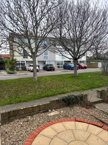 two trees in a park with cars in a parking lot at Sea Rose ,Broadstairs in Broadstairs