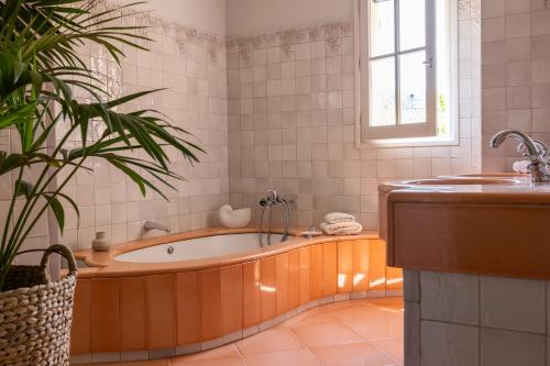 Absolutely quiet Provencal villa with swimming pool